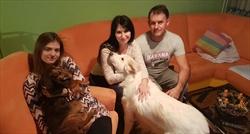 Međunarodni dan volontera