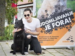 SVE VEĆI BROJ UDOMLJAVANJA PASA GOVORI O RAZVOJU DRUŠTVA