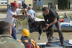 Azil Dumovec pomaže životinjama u Slavoniji 