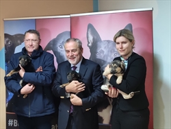 CRNI PSI – ZVIJEZDE KALENDARA SKLONIŠTA U DUMOVCU