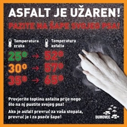 Zaštitite pse od vrućine