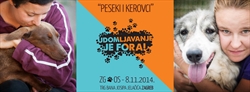 „UDOMLJAVANJE JE FORA“ - Prvi put u dva hrvatska grada - PESEKI I KEROVCI