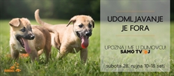 UDOMLJAVANJE JE FORA: UPOZNAJ ME U DUMOVCU! 