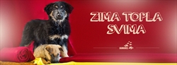 ZIMA TOPLA SVIMA