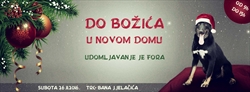 UDOMLJAVANJE JE FORA - do Božića u novom domu!
