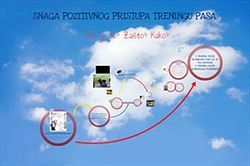 Novi seminar za volontere!!!