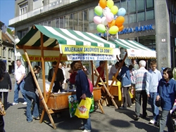 Mijenjam sklonište za dom