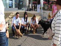 Europski tjedan mobilnosti - 18. rujna 2011.