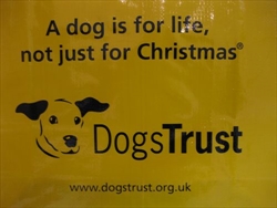 Dogs Trust u školi!