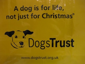 Dogs Trust u školi!