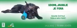 Akcija „Udomljavanje je fora“ Ranjene životinje trebaju našu pomoć!