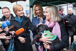 Održana akcija Udomljavanje je fora - Peseki i kerovci