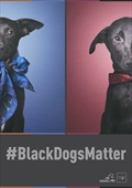 <b>Kalendar 2020. #BlackDogsMatter</b>