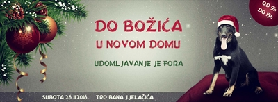UDOMLJAVANJE JE FORA - do Božića u novom domu!