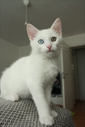Tilly/Evian