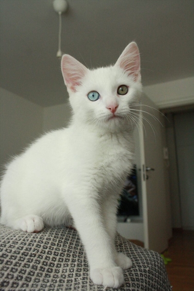 Tilly/Evian