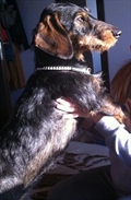 Filip