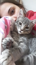 Beksi