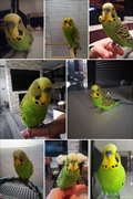 Rio