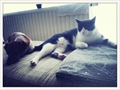 Lovro