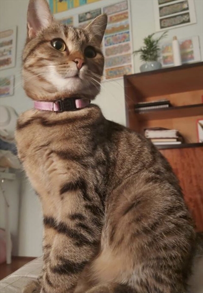 Dora