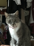 Milky