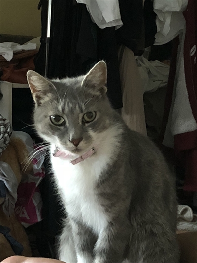 Milky