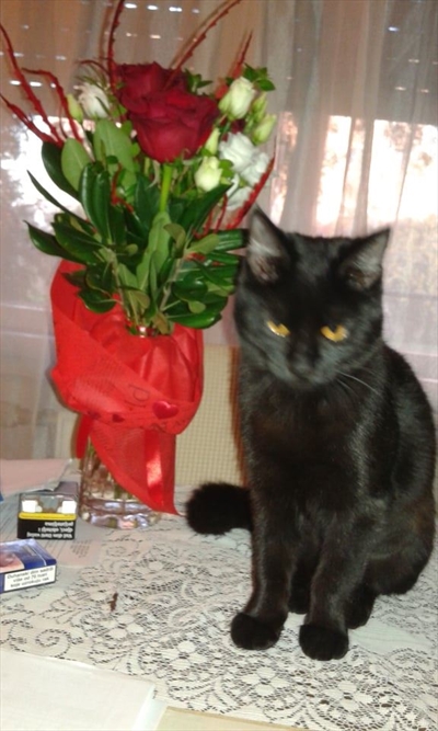 Nera