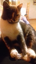 Tina