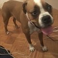 Lucy