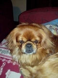 Beni