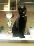 Blacky