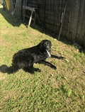 Ben