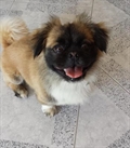 Jerry