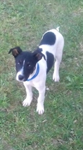 Jack