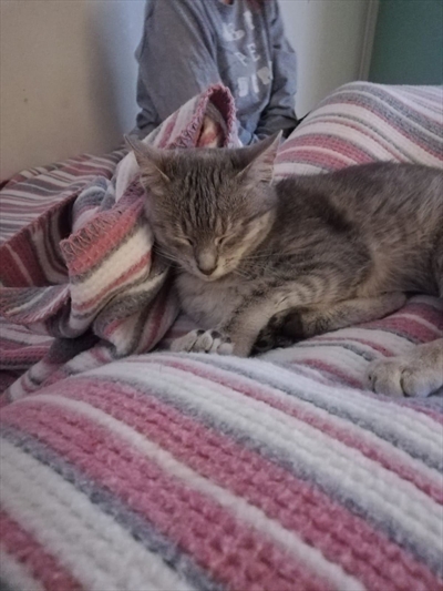 Nala 