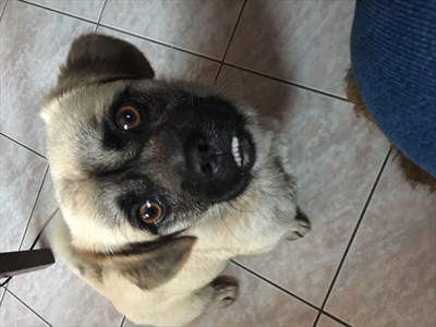 Lucy