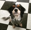 Hera