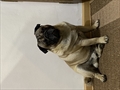 Po