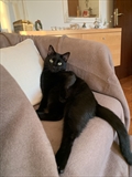 Muki
