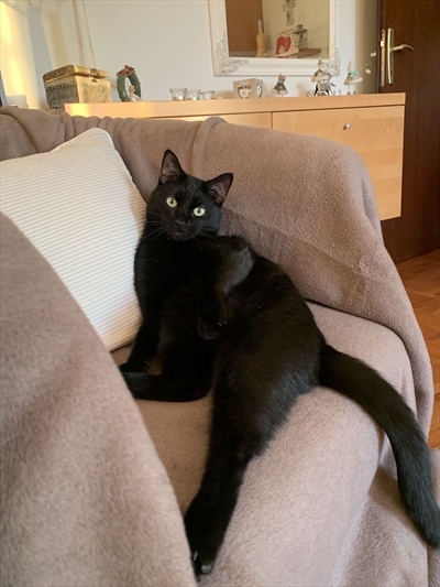 Muki