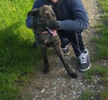 Tayson