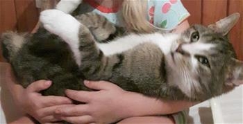 Simba