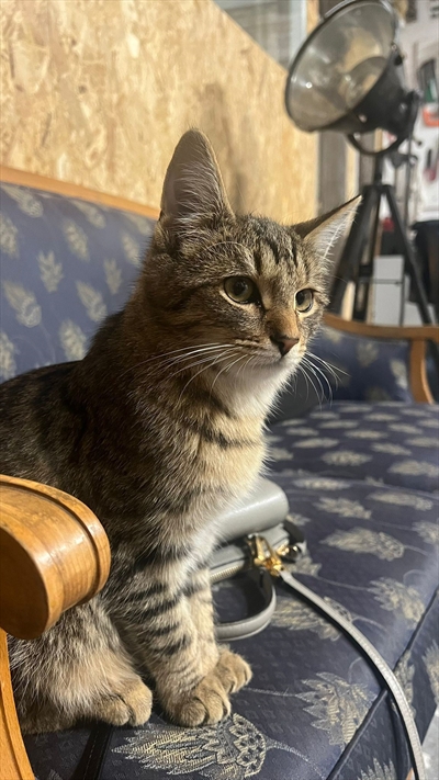 Leo