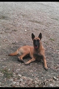 Lonja