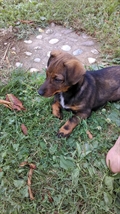 Lola