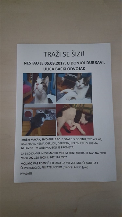 Šizi