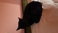 Edgar