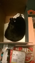 Ma