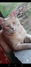 Muki